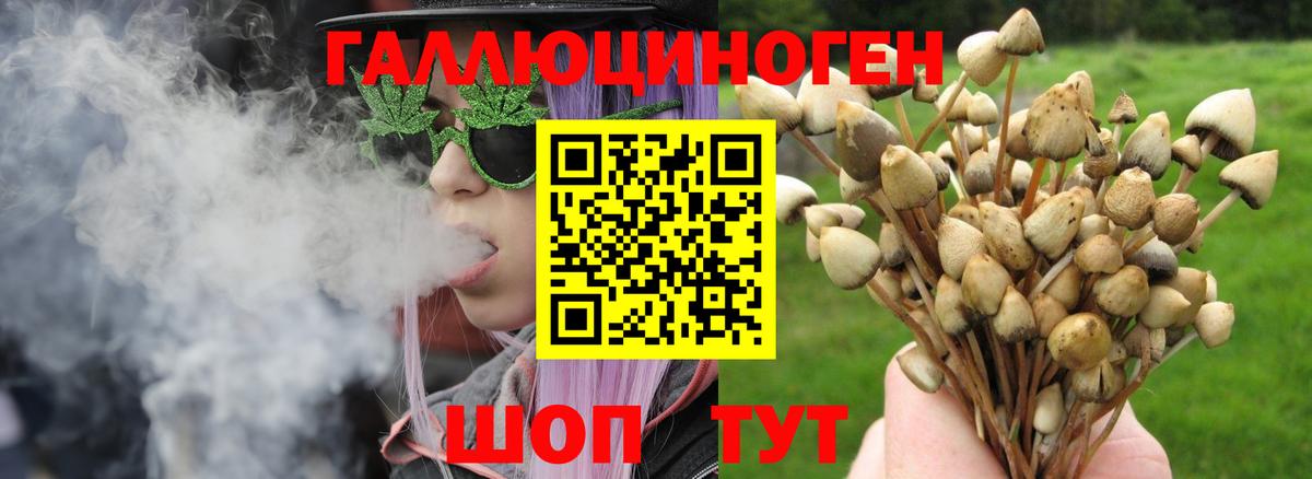 Алапаевск  хочу   Вход с VPN  Галлюциногенные грибы прущие грибы 